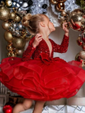 Glitter Diva Ruffle Skirt Special Occasion Dress