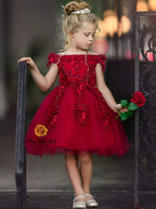 Cranberry Cuteness Floral Princess Party Dress